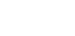 logo-businesschicks